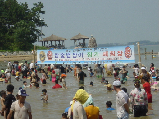 장어잡기체험 전경 